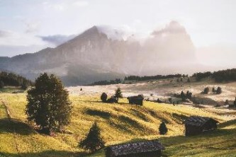 普陀洛迦山攻略（普陀洛迦山五大主寺）