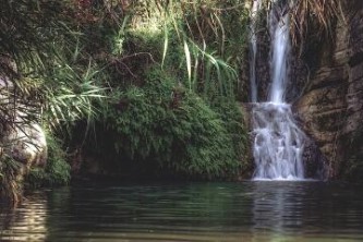 湛江特呈岛旅游攻略（湛江特呈岛风景介绍）