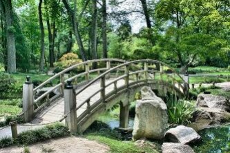 青岛一日游攻略（青岛一日游攻略必去景点）