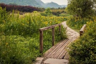 沂蒙山自驾游必去景点（沂蒙山自驾游必去景点都有哪些）