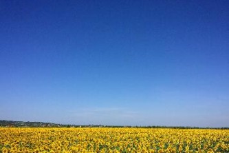 国内夏季自驾旅游攻略（夏季自驾游最佳路线）